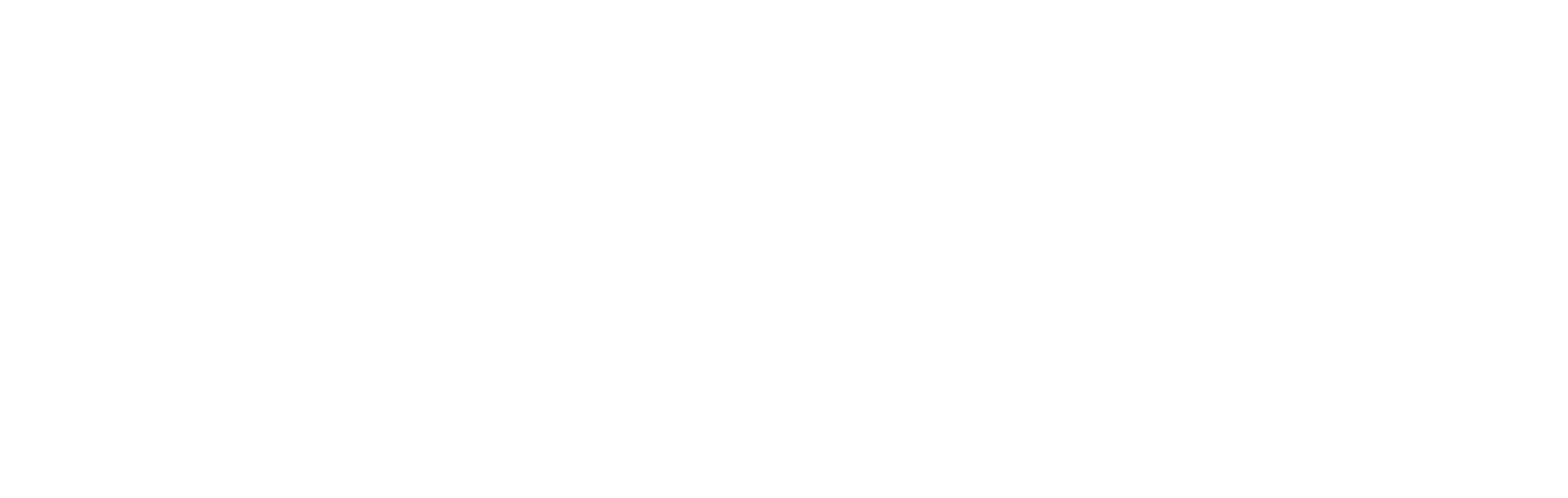 ThunderWolf Soluciones